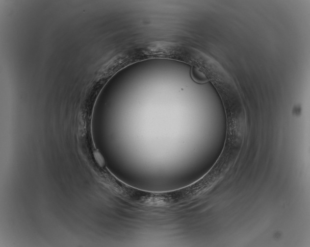 X0000098050751200803281454