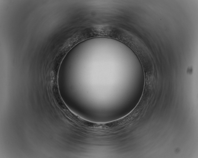 X0000098050752200803281454