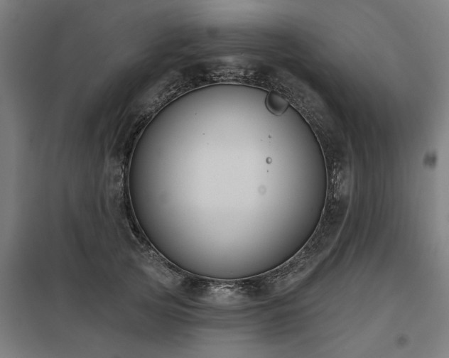 X0000098050753200803281454