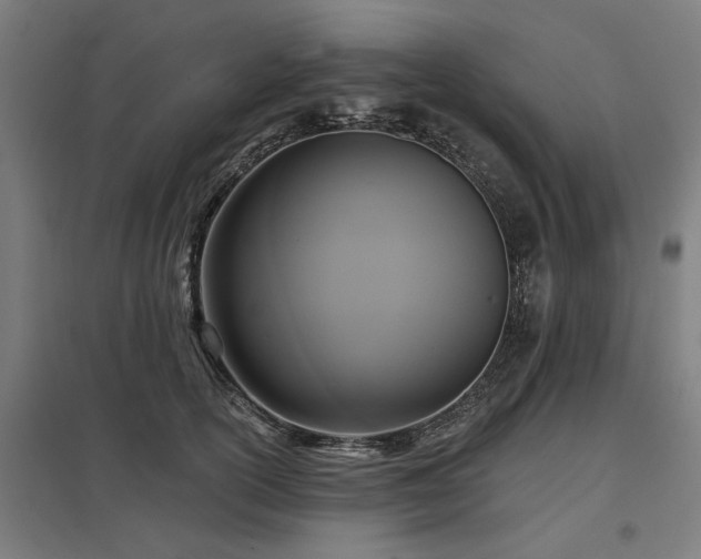 X0000098050754200803281454