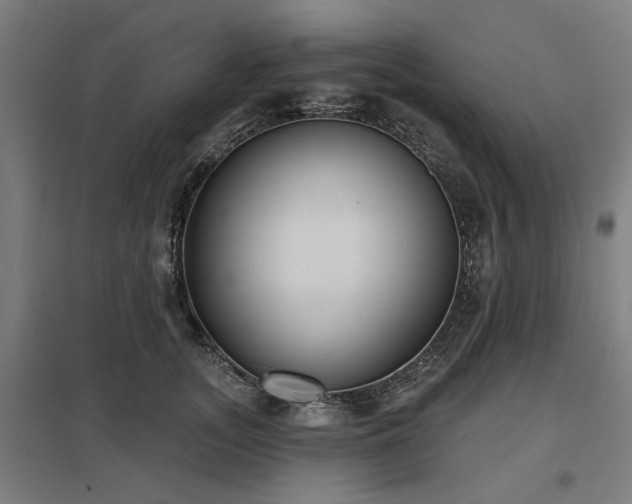 X0000098050755200803281454