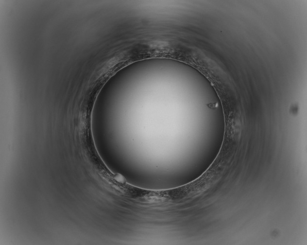 X0000098050756200803281454