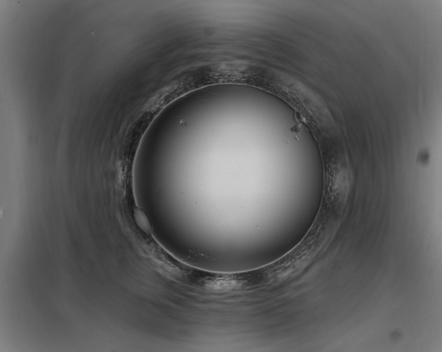 X0000098050759200803281454