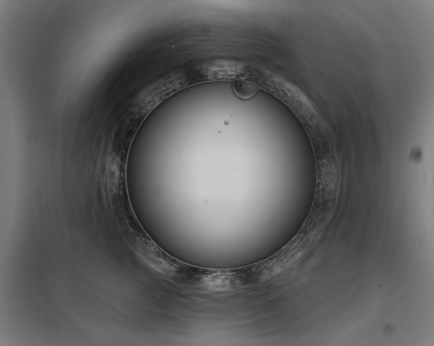 X0000098050761200803281455