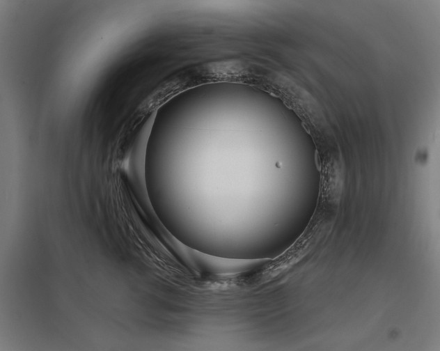 X0000098050762200803281455
