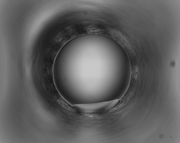 X0000098050763200803281455