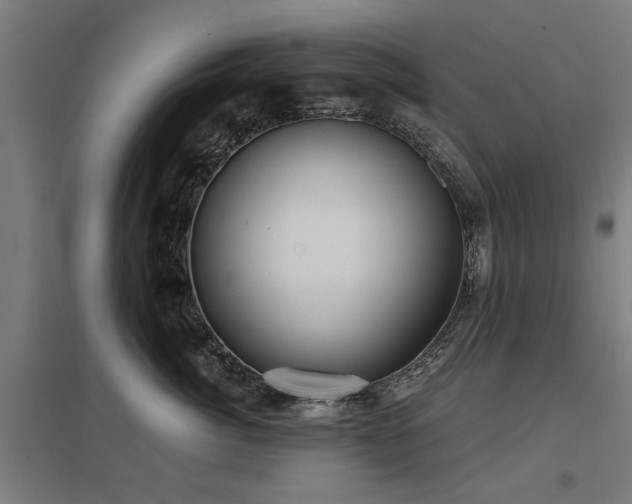 X0000098050764200803281455