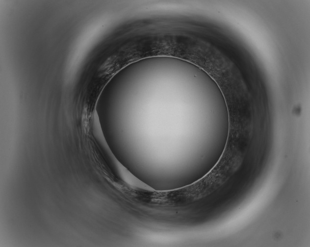 X0000098050766200803281455