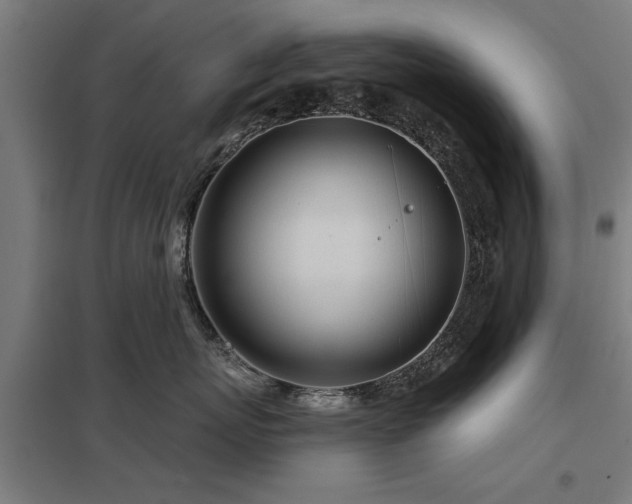 X0000098050767200803281455