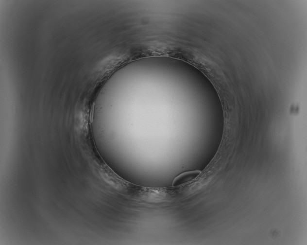 X0000098050768200803281455