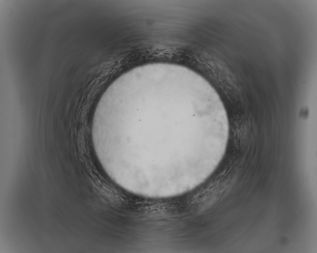 X0000098050769200803281454
