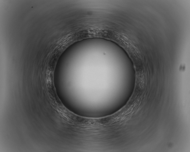 X0000098050770200803281454