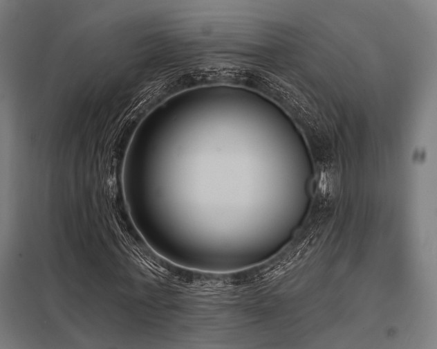 X0000098050771200803281454