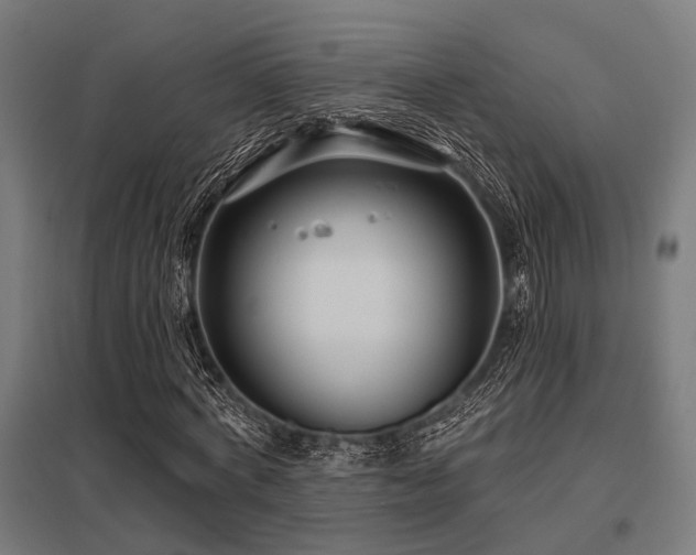 X0000098050772200803281454