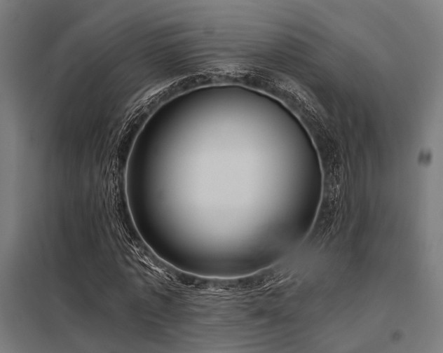 X0000098050773200803281454