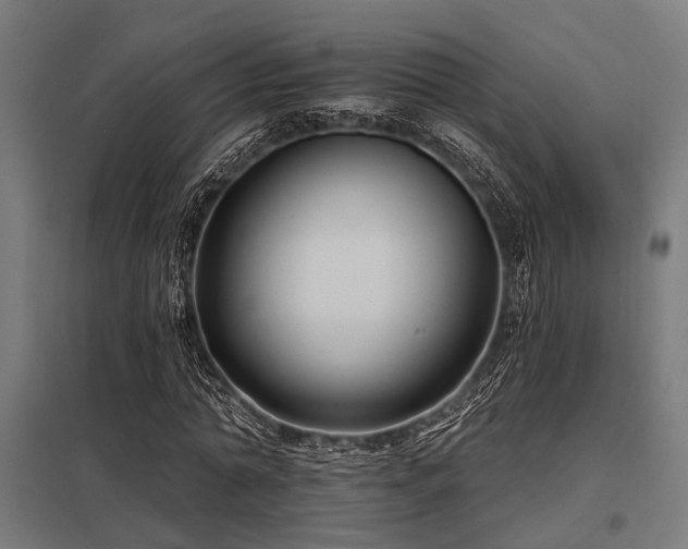 X0000098050774200803281454