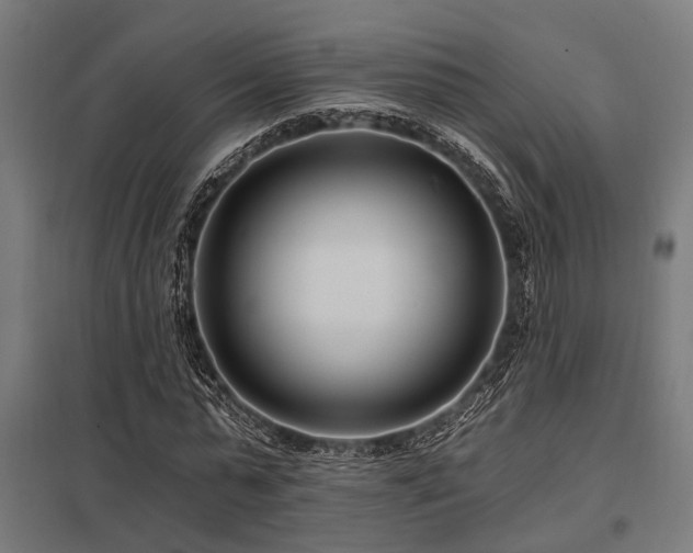 X0000098050775200803281454