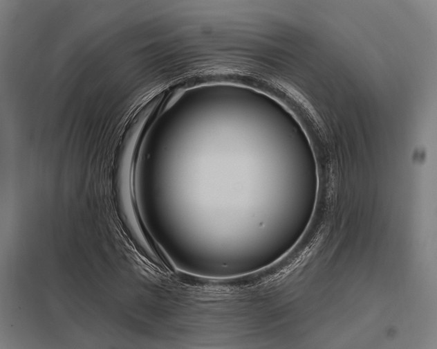 X0000098050777200803281454