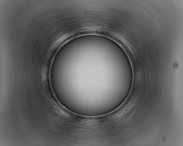 X0000098050778200803281454