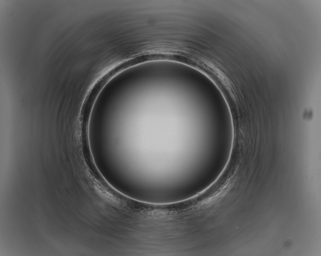 X0000098050779200803281454