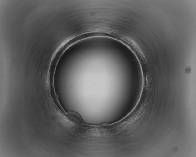 X0000098050780200803281454