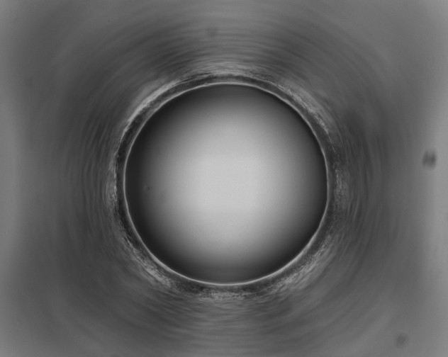 X0000098050782200803281454