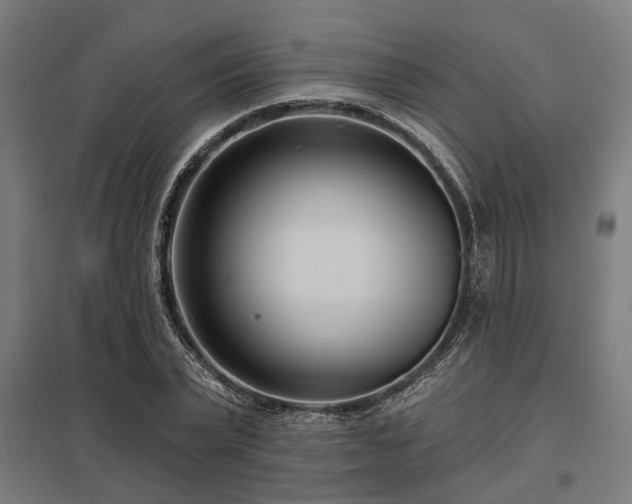 X0000098050783200803281454
