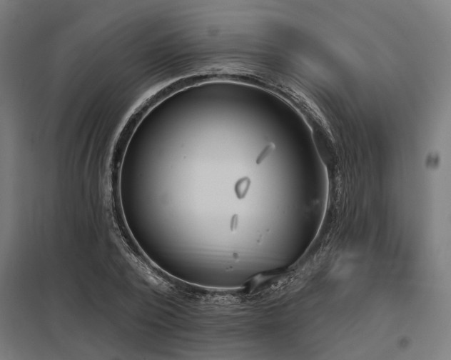 X0000098050784200803281454