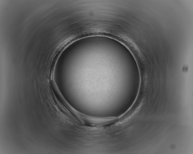 X0000098050785200803281454