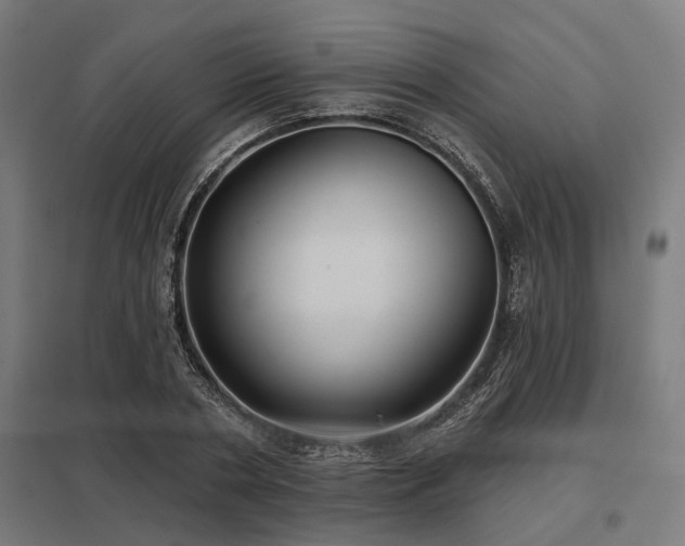 X0000098050786200803281454