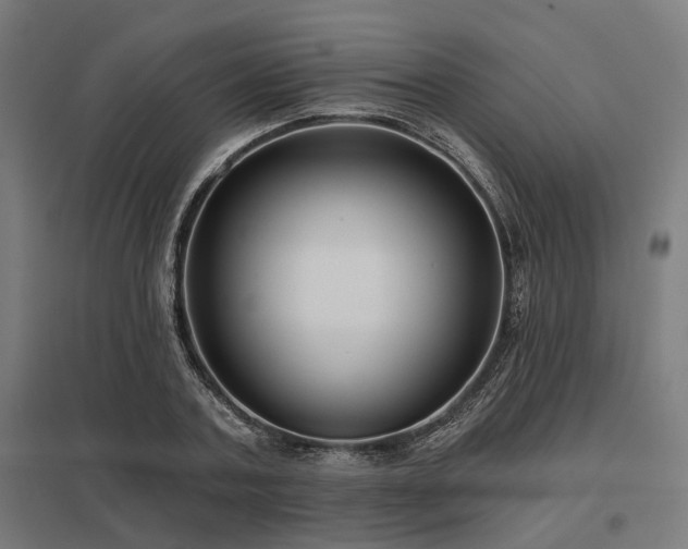 X0000098050787200803281454