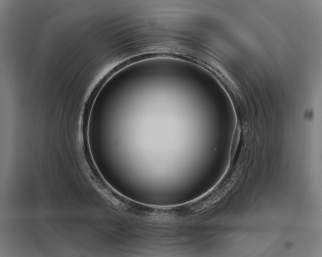 X0000098050788200803281454
