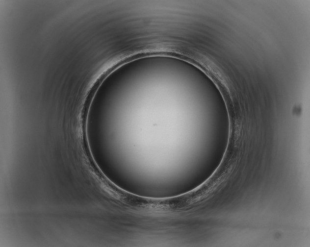X0000098050789200803281454