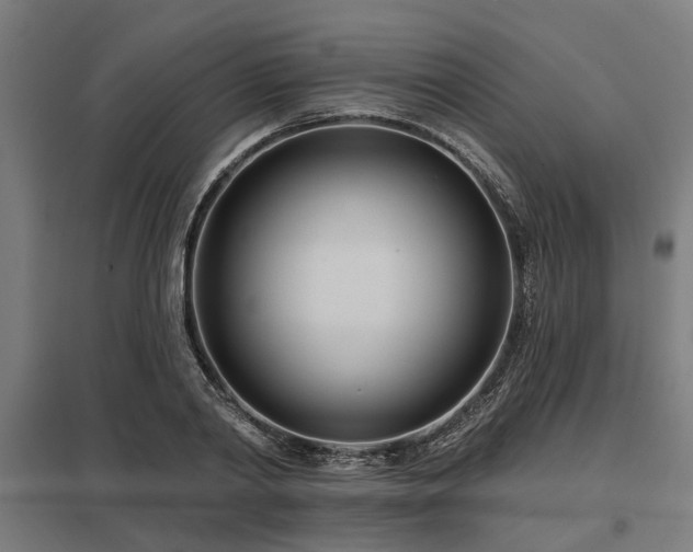 X0000098050790200803281454