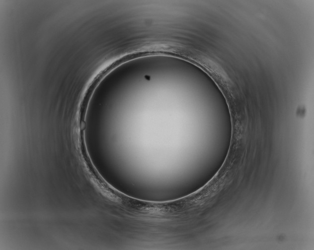 X0000098050792200803281454