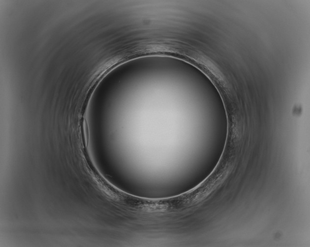 X0000098050793200803281454