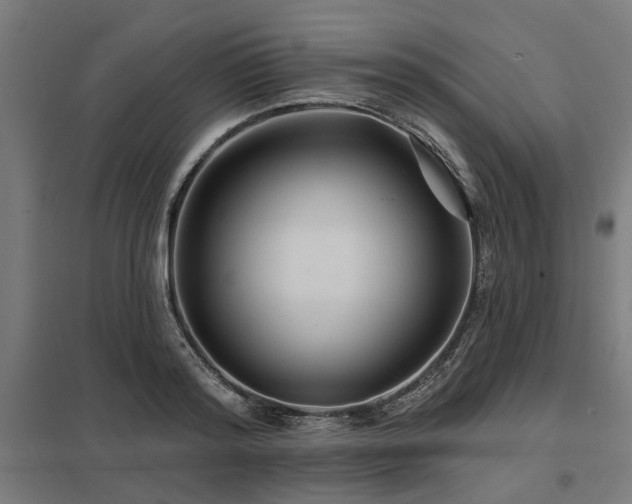 X0000098050796200803281454