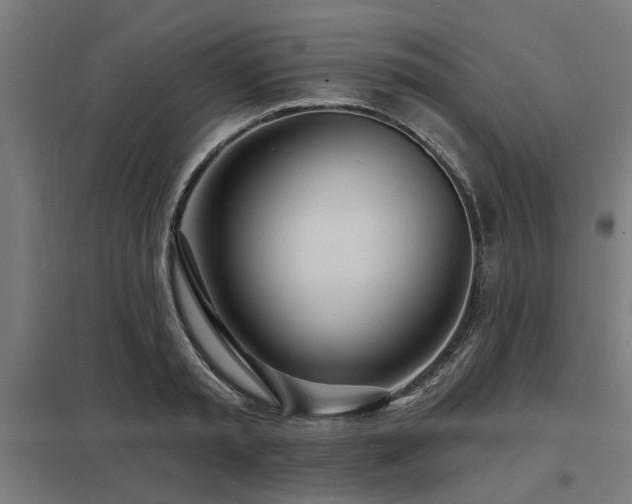 X0000098050797200803281454