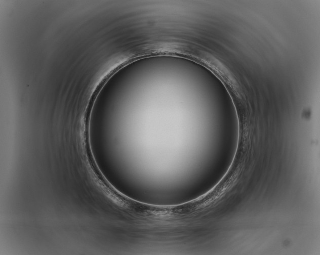 X0000098050798200803281454