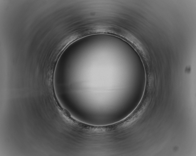 X0000098050801200803281453