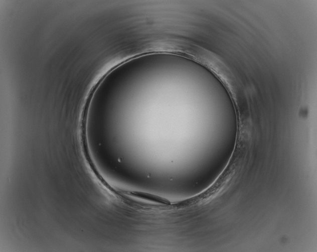 X0000098050803200803281453