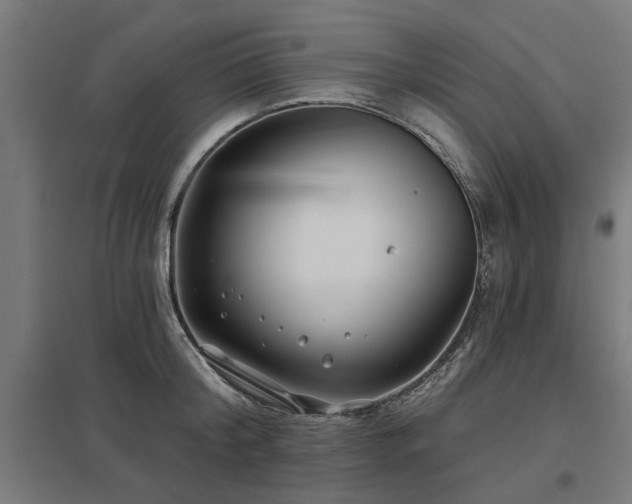 X0000098050804200803281453