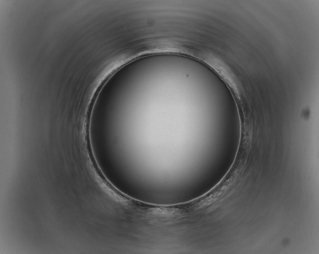 X0000098050805200803281453