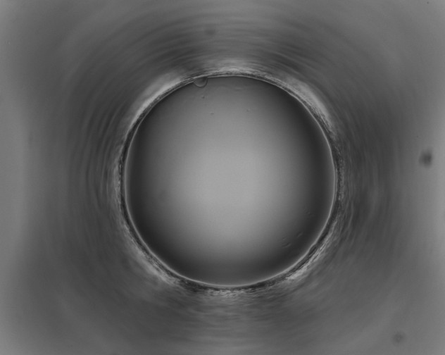 X0000098050806200803281453