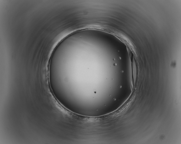 X0000098050808200803281453