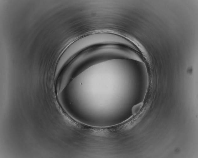 X0000098050809200803281453