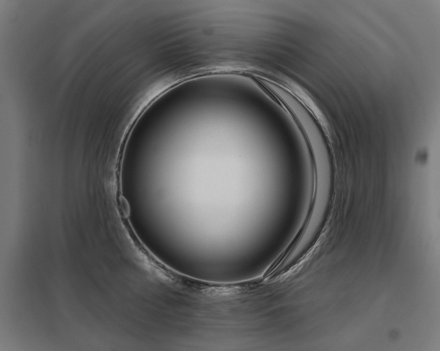 X0000098050810200803281453