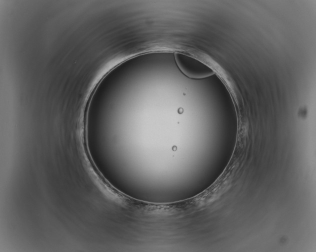X0000098050811200803281453