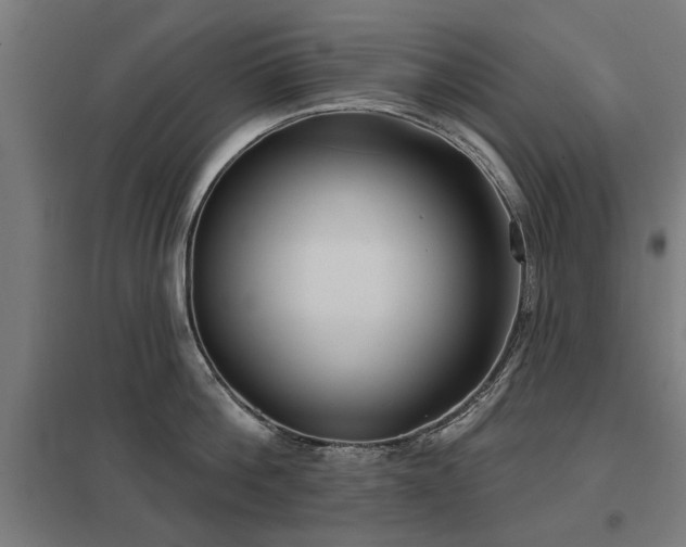 X0000098050812200803281453
