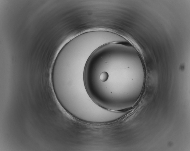 X0000098050813200803281453